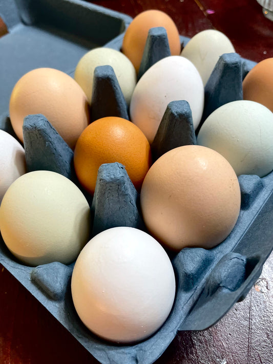Organic Free Range Eggs